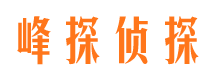 金山私家侦探